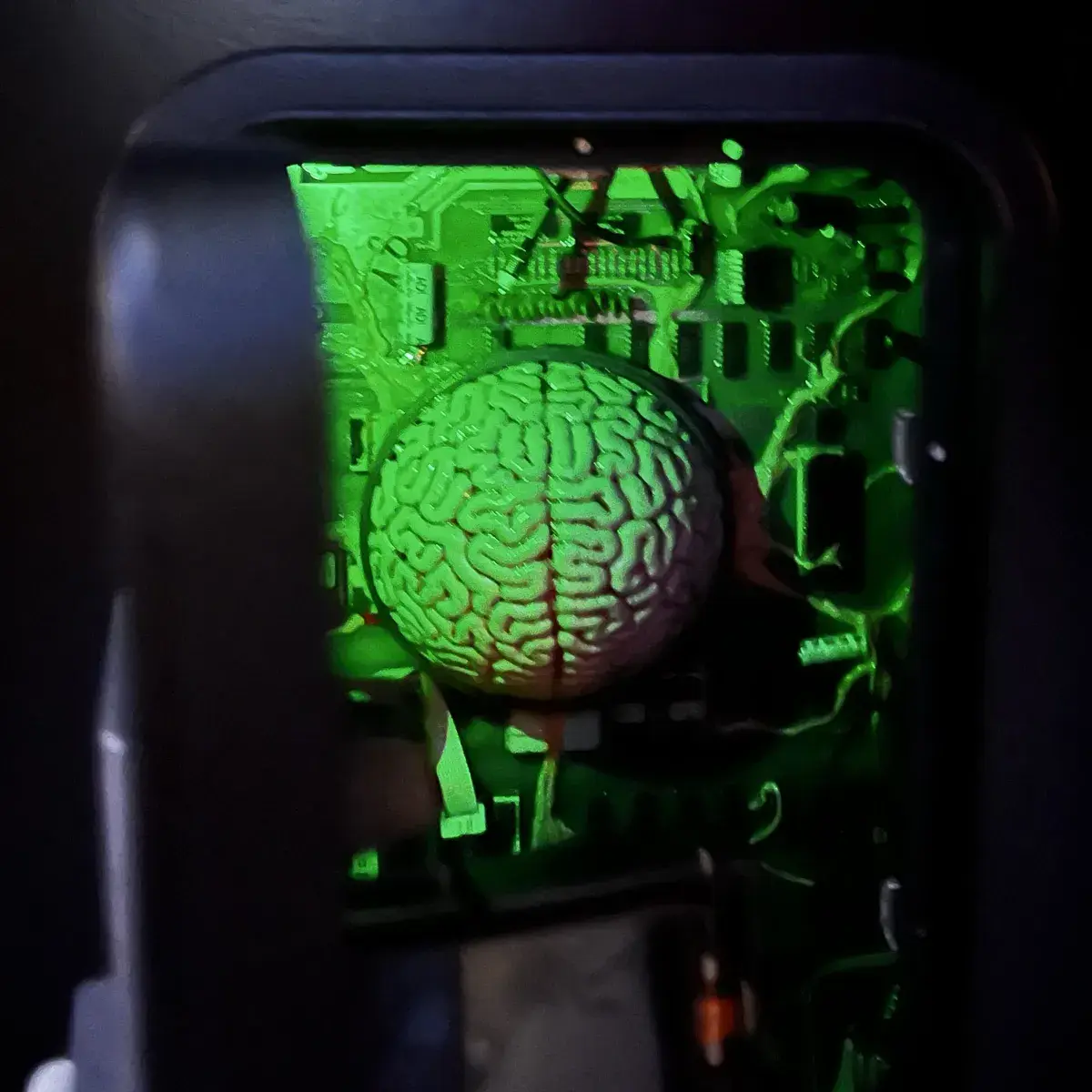 Ein Blick ins Innere eines Videospielautomatens, wo ein Gehirn auf der Platine montiert wurde.