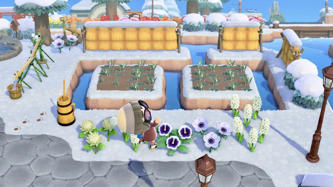 Ein Reisfeld in Animal Crossing