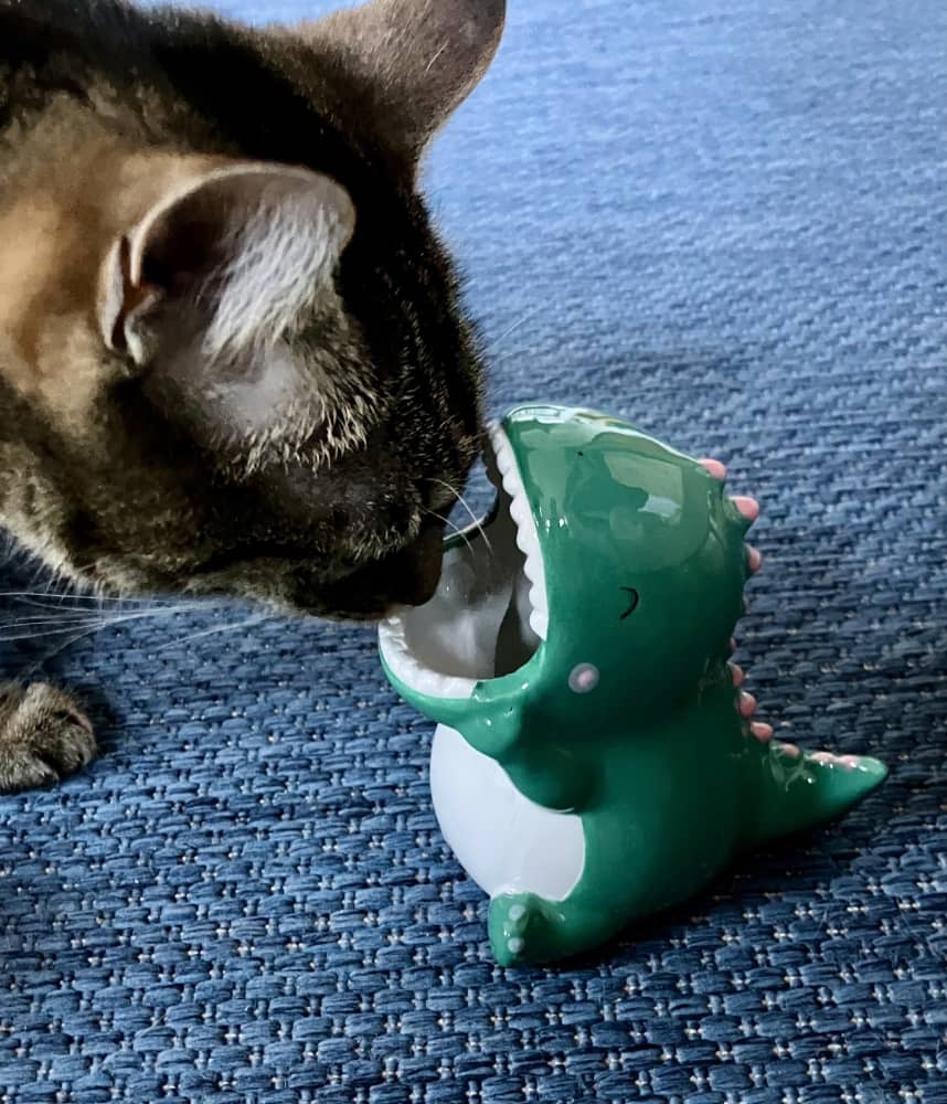 Ein Stifthalter in Form einer Riesenechse, die ihr Maul weit aufreißt. Ein Katze blickt ihr neugierig ins Maul.