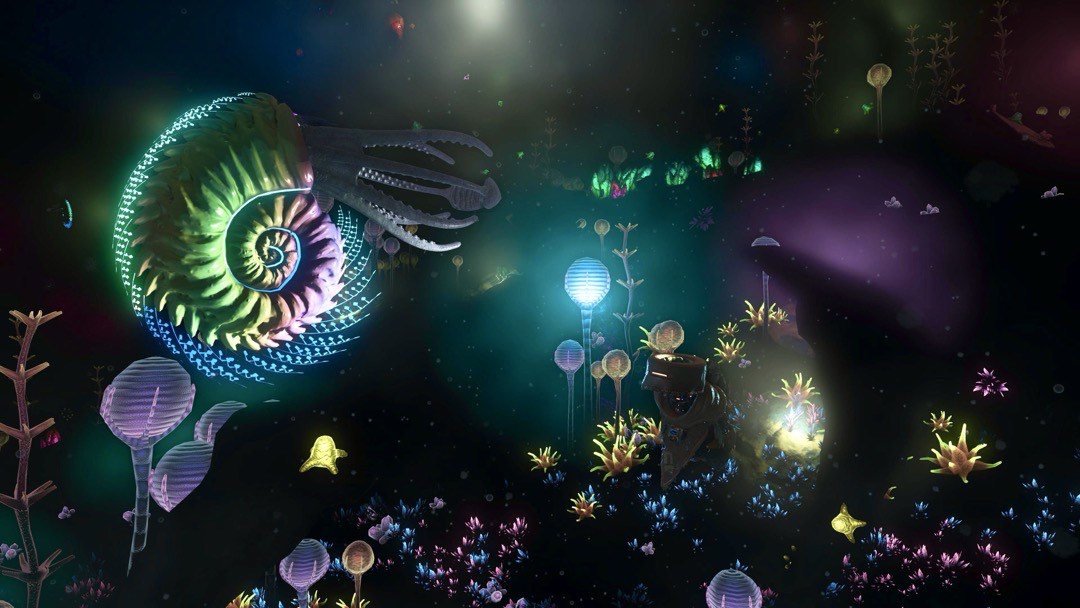 Ein Nautilus, der in allen Farben des Spektrums leuchtet in einer farbenfrohen Unterwasserwelt.