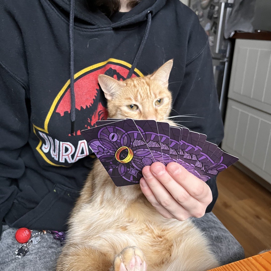 Der Kater im Arm einer Person, die Herr der Ringe Karten in der Hand hält.